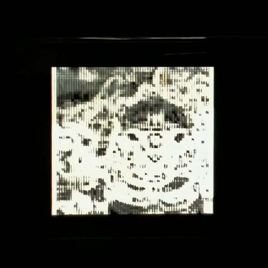 Sobel edge-detected test image running live on the Basys3's PMOD OLEDrgb display